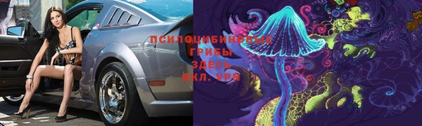 стаф Алексеевка